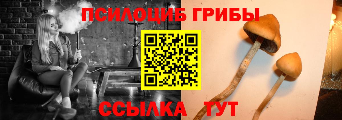 Галлюциногенные грибы GOLDEN TEACHER Верхняя Пышма